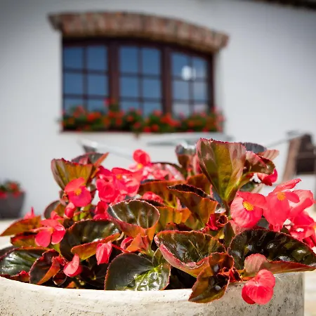 Za Murem מלון דירות פוזנן