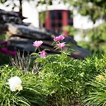城墙背面公寓式酒店 波兹南