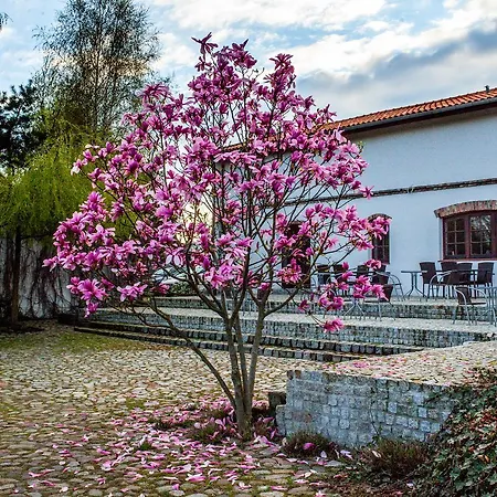 Za Murem Апарт-отель 3*