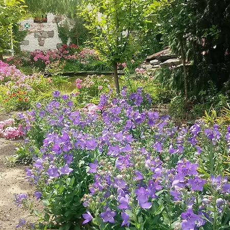 Апарт-отель Za Murem 3*