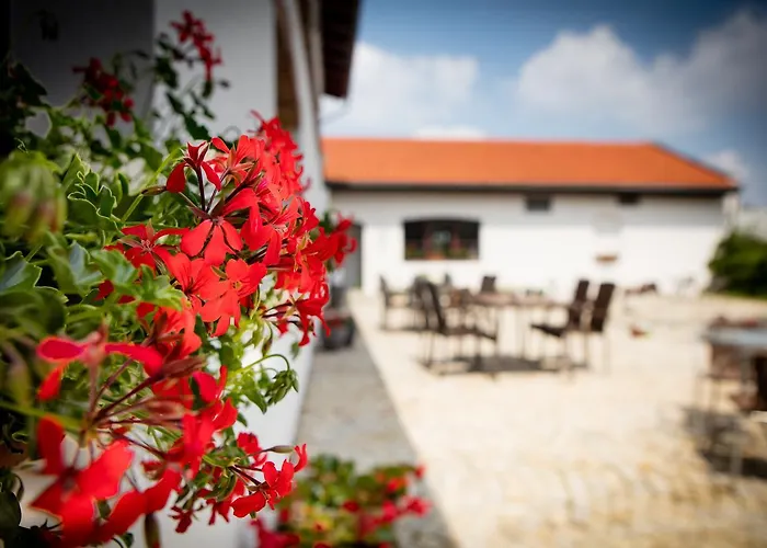 Апарт-отель Za Murem Познань