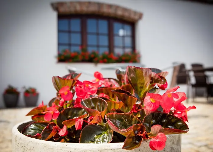 Za Murem Aparthotel Poznaň